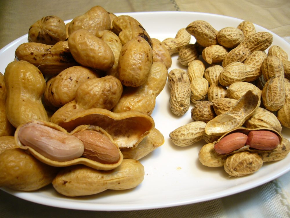 Peanuts, Boiled, Japanese (茹で落花生 Yude Rakkasei)