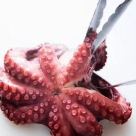 Perfectly Cooked Boiled Octopus