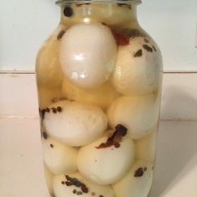 Pickled Eggs