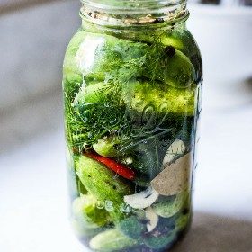 Pickles, Fermented - 1