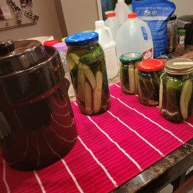 Pickles, Spicy