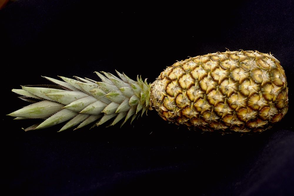 Pineapple, Coal-Roasted and Brûléed