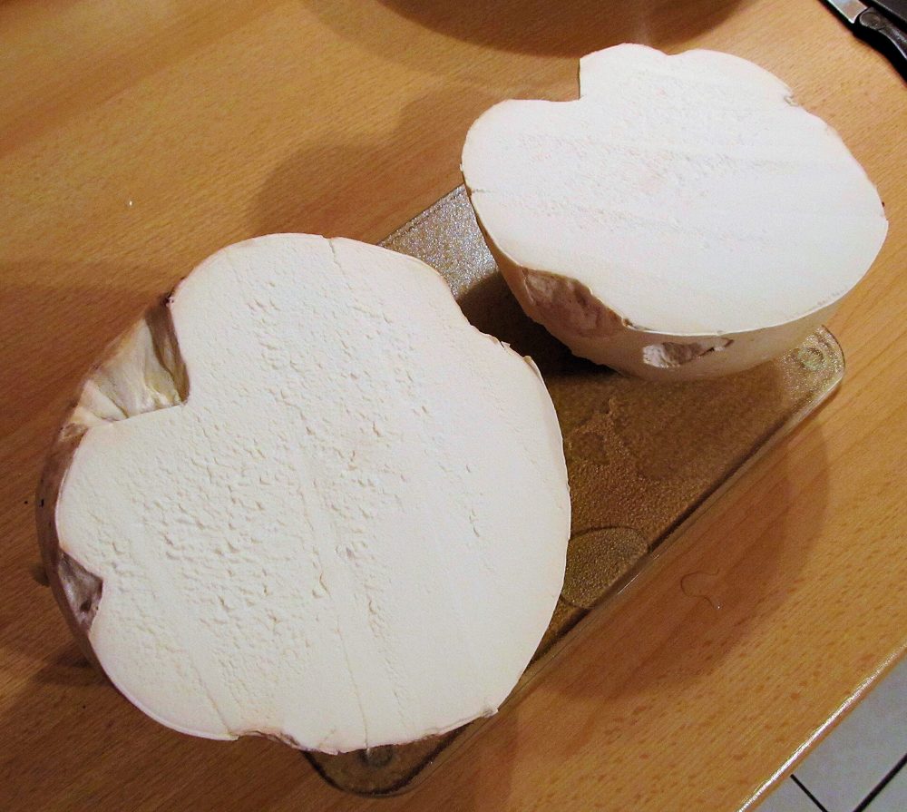 Puffball Parmesan