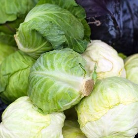 Sauerkraut
