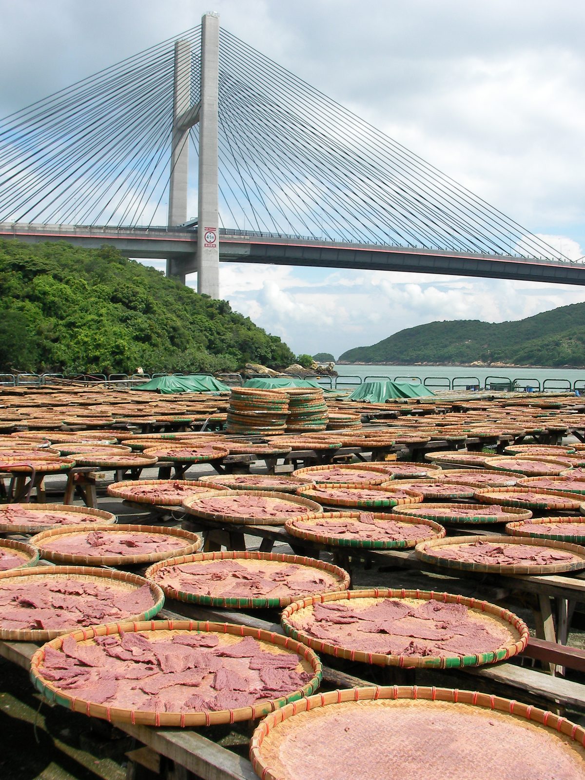 Shrimp Paste — Out of the container