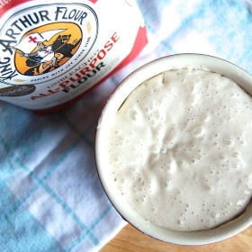Sourdough Starter