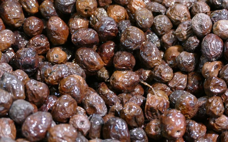 Which Olive, and What For