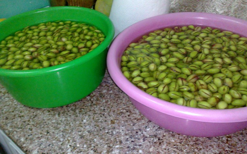 Olives: How They Became Edible