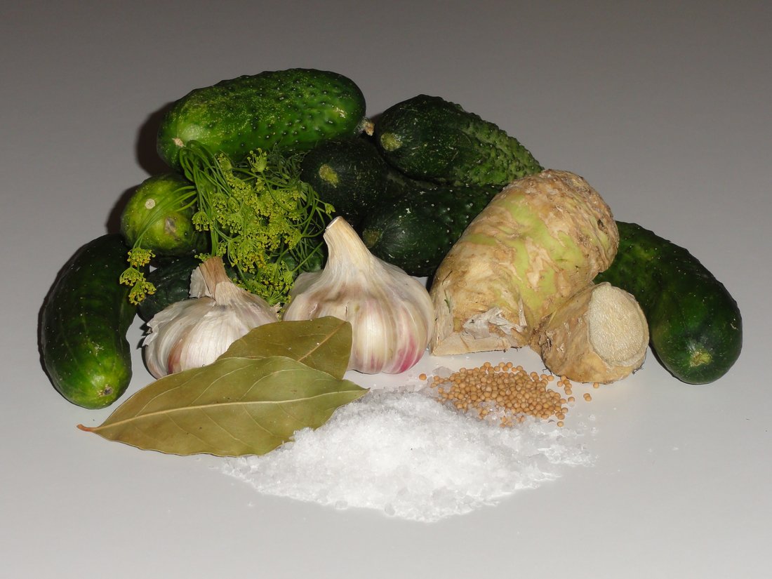 Everything that goes in a jar except the vinegar — pickling cucumbers, garlic, bay, dill and a pile of salt