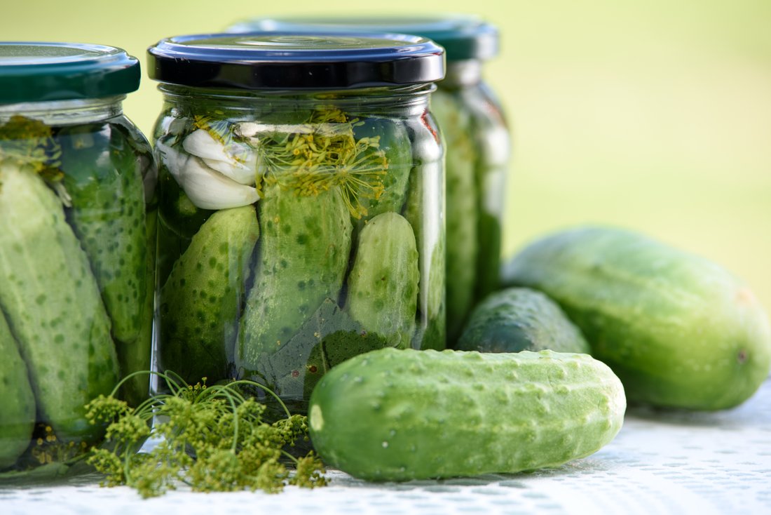 Jars of pickled cucumbers, with the fresh cucumbers and dill they were made from. The gap between those two states is about a day