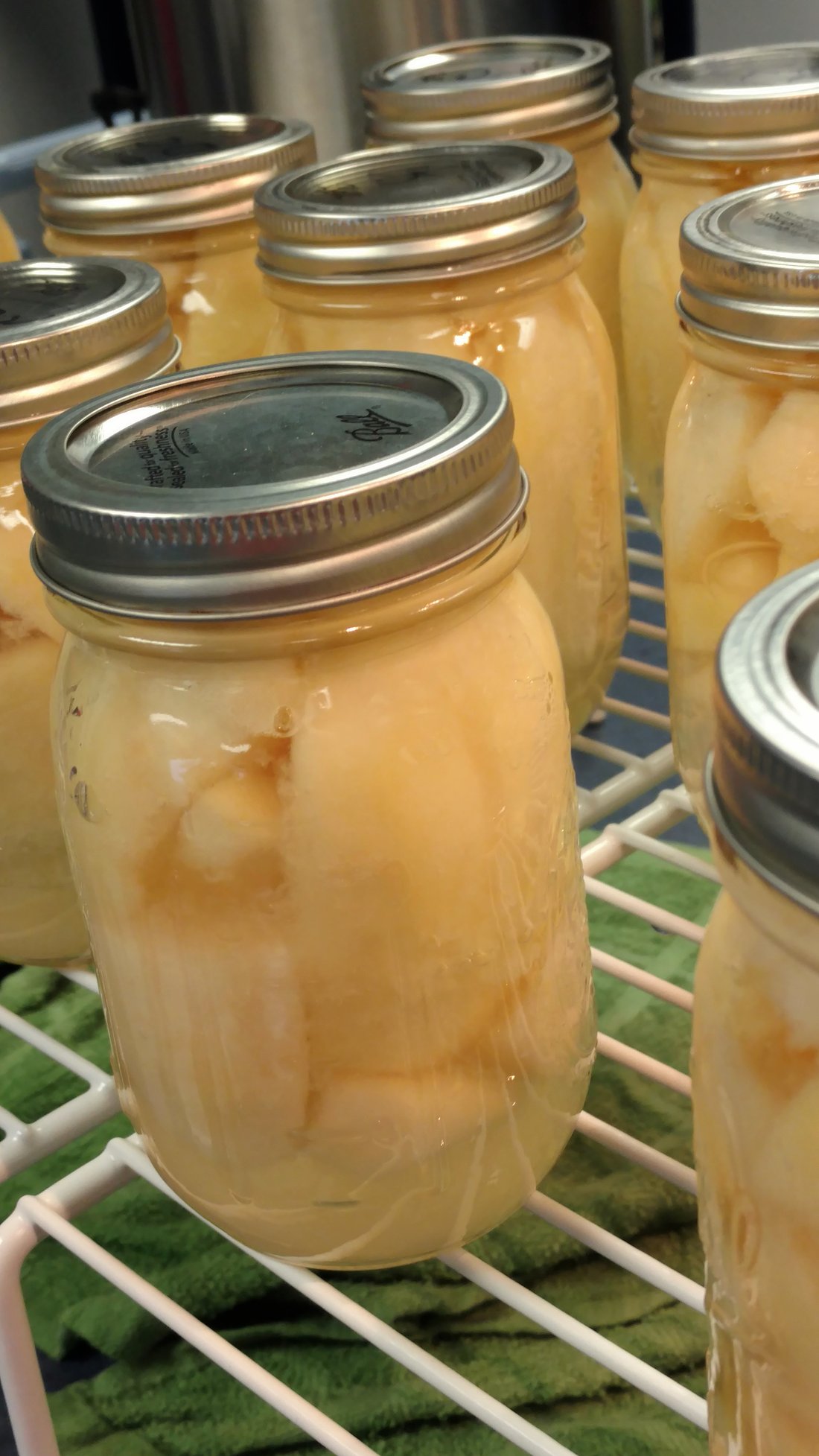 Home-canned jars cooling on a rack — pears, in this batch. The seal that forms as they cool is the whole point, and it is the one thing you must check the next day