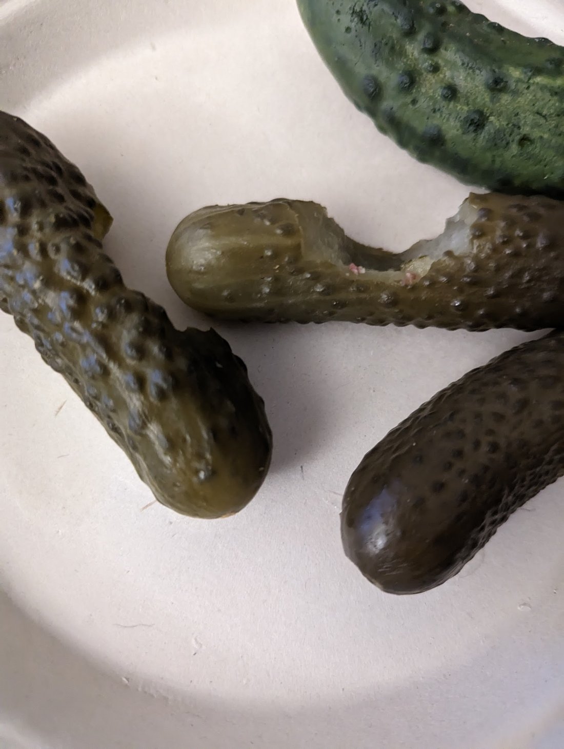 Dill pickles with one bitten through — three sour and one half-sour. The bite is the only honest test; you cannot read texture off the outside of a jar