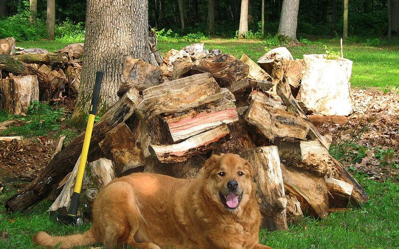Wood and Fire