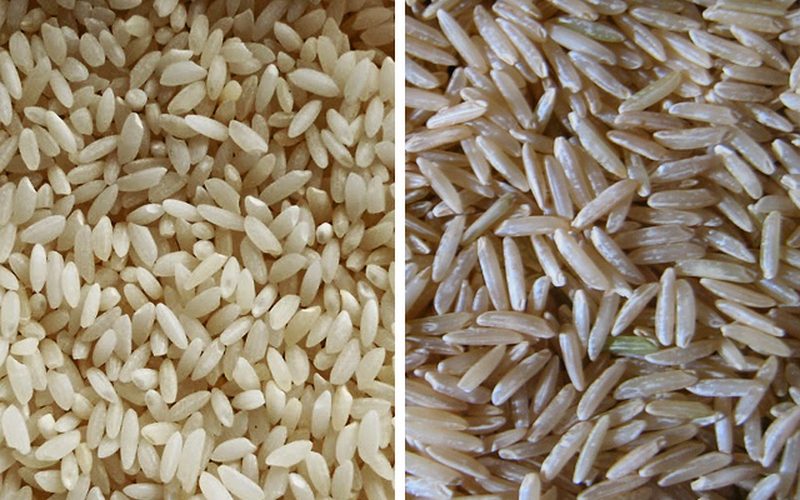 The Types of Rice