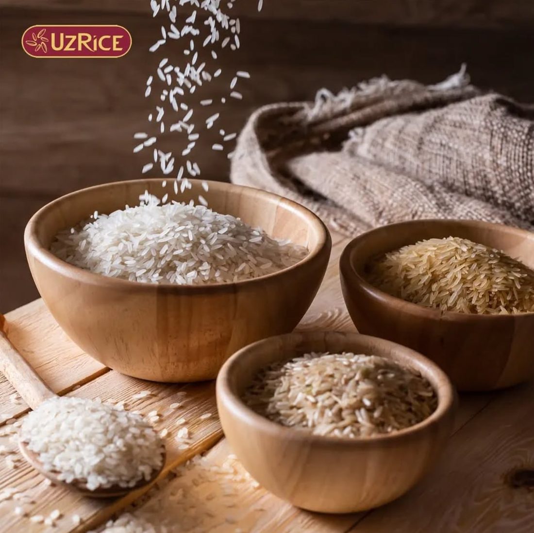 A world spread of rice dishes — Persian tahdig, Spanish paella, sticky rice, jollof, and a bowl of plain steamed grains — showing how differently one grain is treated