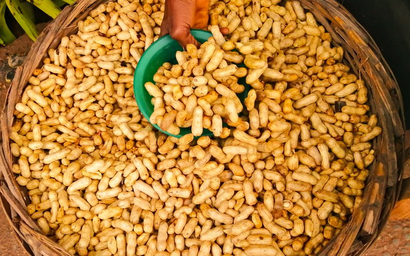 Boiled Peanuts