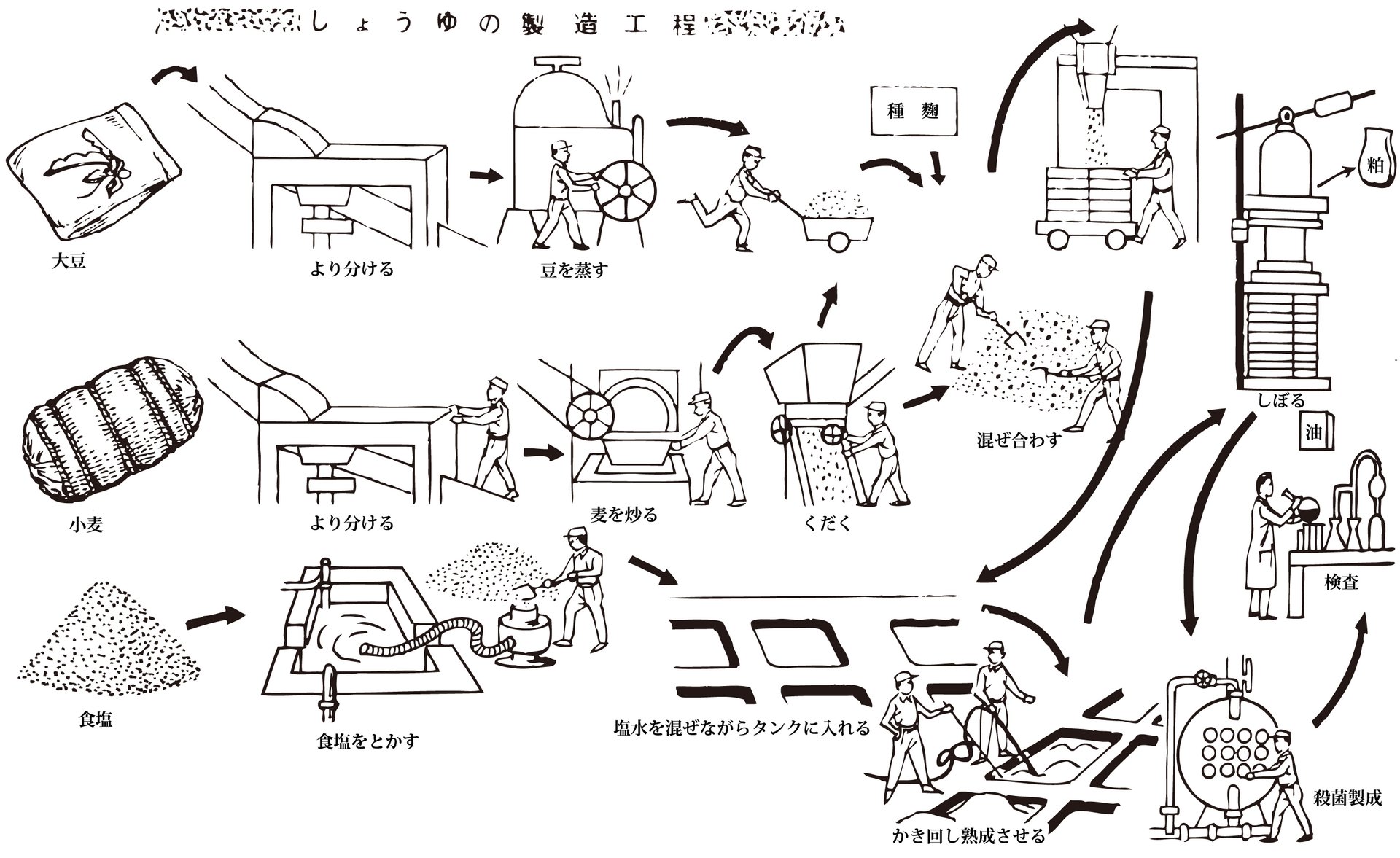 A line-art Japanese technical diagram of the soy sauce manufacturing process, from beans and wheat through koji, tanks and pressing