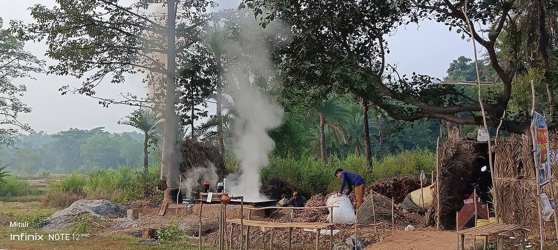 An open-air gur boil: palm sap reducing over a fire under the trees, a column of steam going straight up, workers tending the pans with cut palm and cane stacked behind them