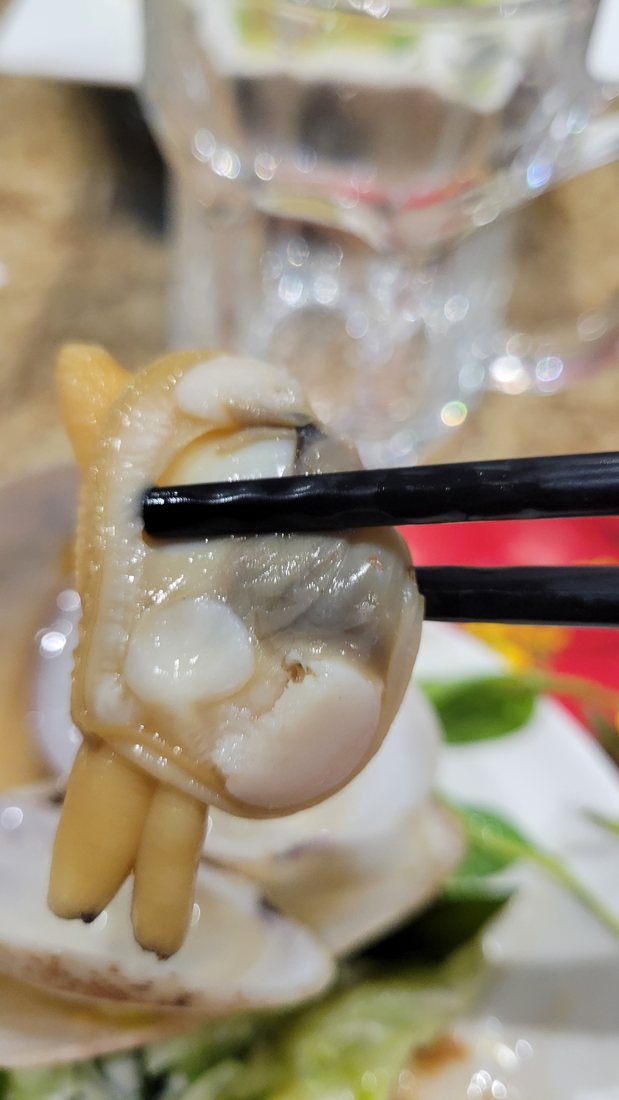 One clam, lifted out on chopsticks — thick shell, the whole animal filling it, and a stalk of something pale still attached