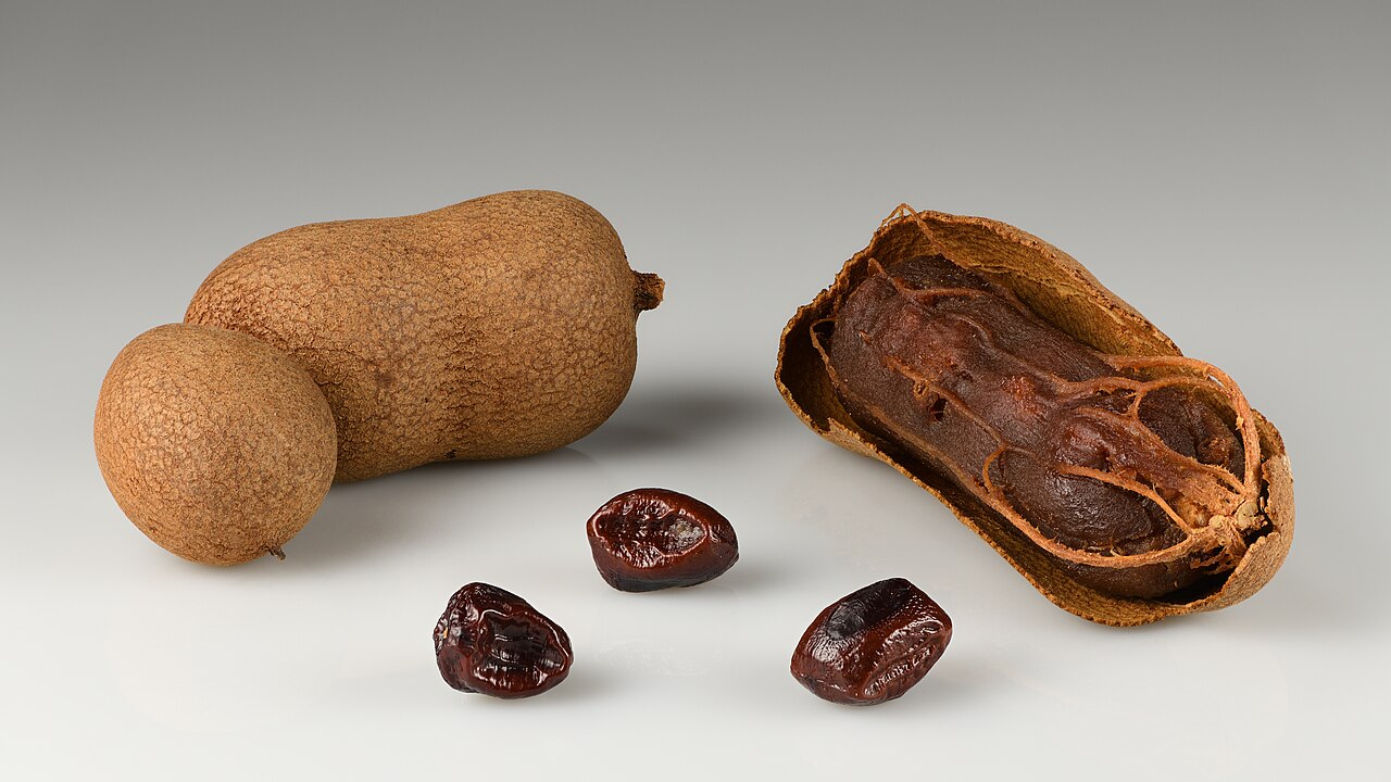 Tamarind pods and a block of tamarind paste — the fruity sourness oak's tannin knits into